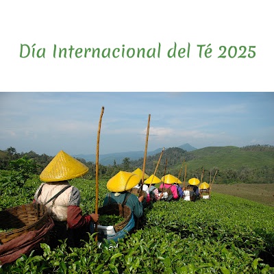 Día Internacional del Té 2025
