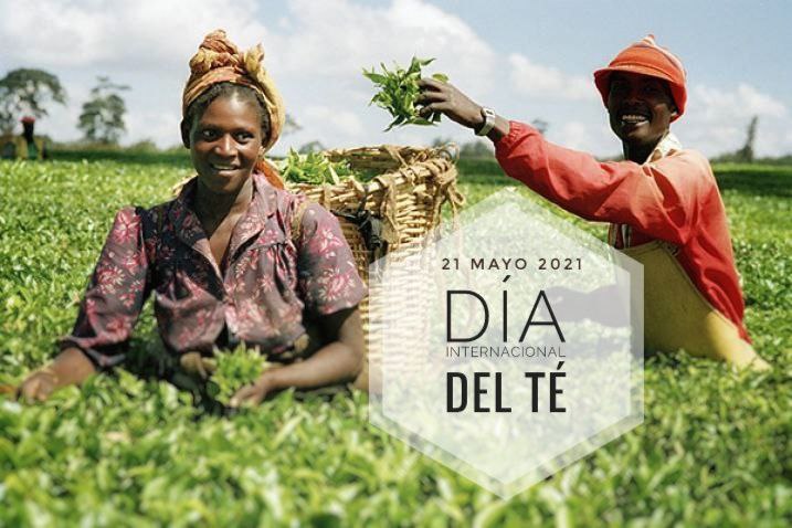 Día Internacional del Té 2021