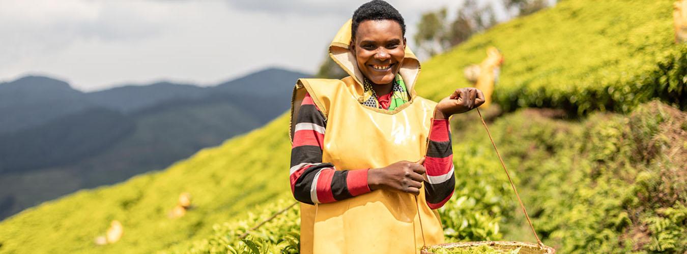 Josephine Nyirakarenga trabaja en una plantación de té de Ruanda