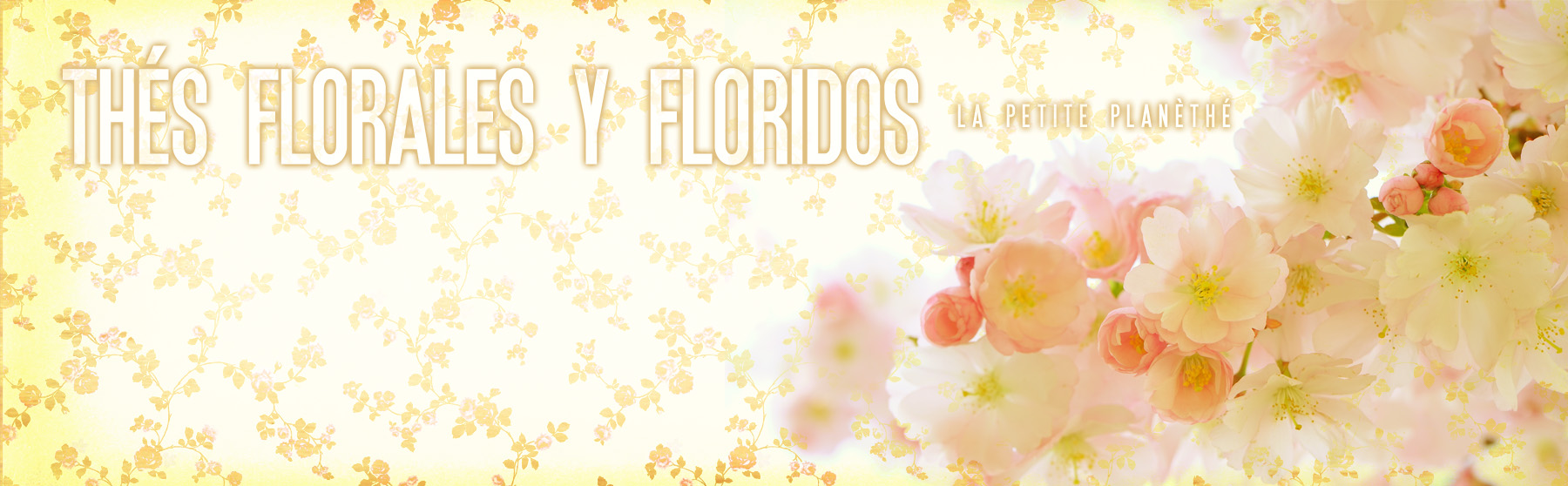 Thés Florales - primavera 2018