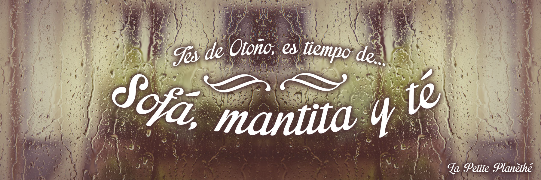 Tés de Otoño. Sofá, mantita y té.