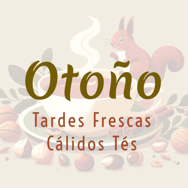 Fresco y cálido Otoño 2025