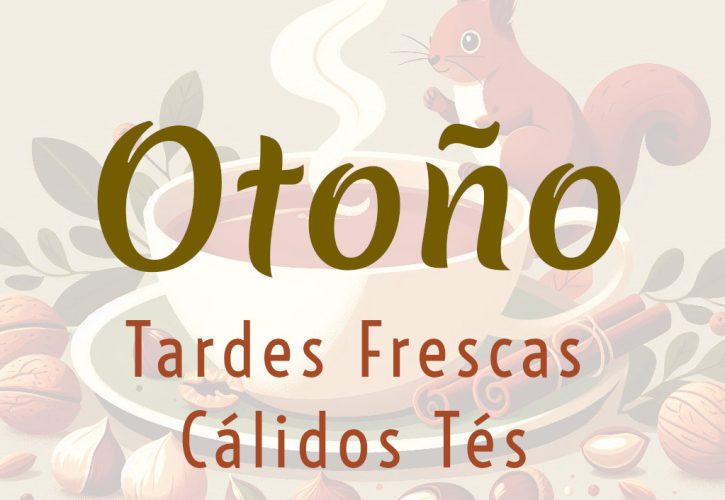 Fresco y cálido Otoño 2025