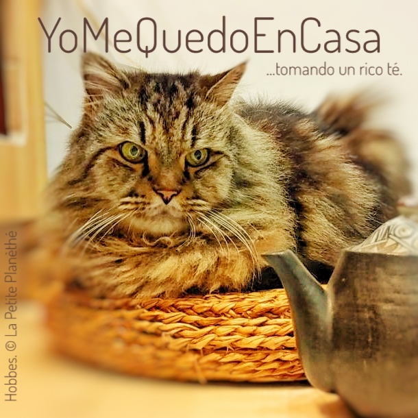 #YoMeQuedoEnCasa